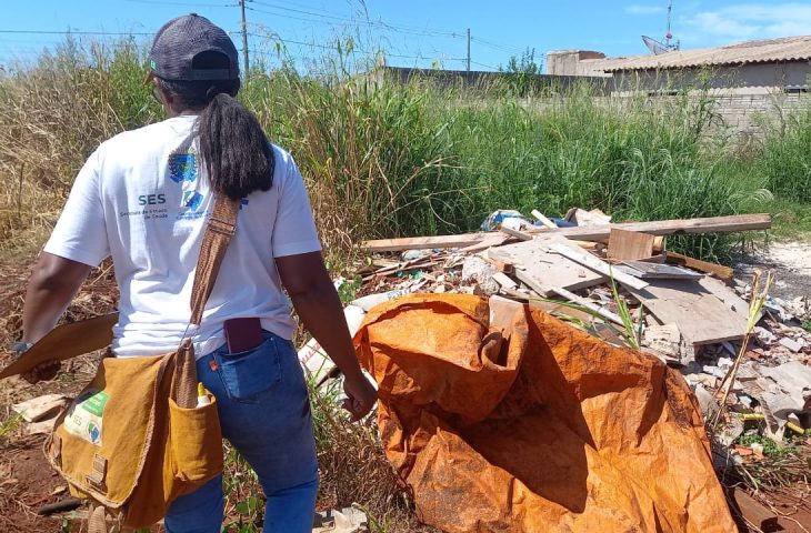 SES divulga 1º LIRAa de 2026 e detalha risco de arboviroses em cidades de MS